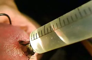 XXX لاغر فیلم سکسی سازمان دیده بان نشسته با مهبل (واژن) خود را بر روی صورت دوست خود را در جنگل و پرشهای کردن سخت