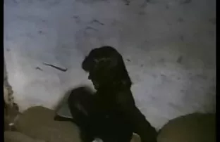 XXX زنان نوجوان در تسلط بر یک مرد گره خورده است دانلود رایگان فیلم سکسی رایگان